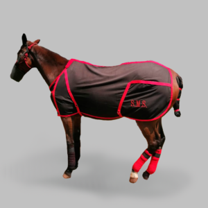 Manta de presentación / viaje